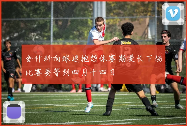舍什科向球迷抱怨休赛期漫长下场比赛要等到四月十四日